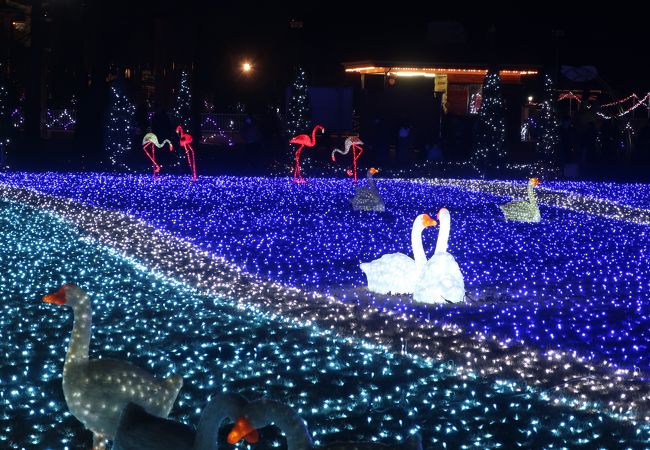 東武動物公園 ウィンターイルミネーション クチコミ アクセス 営業時間 蓮田 白岡 フォートラベル