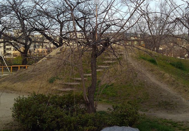 先斗町公園 しだれ桜京庭園 クチコミ アクセス 営業時間 二条 烏丸 河原町 フォートラベル