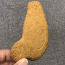 ねっ、ねっ、鳩サブレにそっくりでしょ？