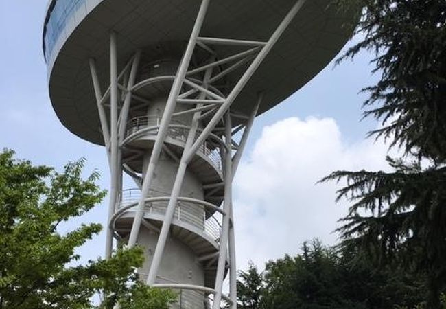 楊林洞近くの小山一帯の公園です。