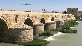 初めて見るタイプのローマ橋