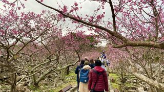 ２月中旬までに