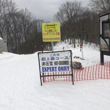 今年は雪が少ない。