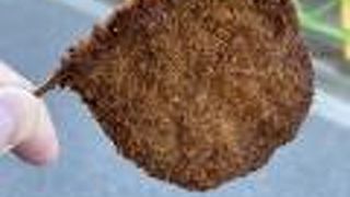 手軽にレバーフライ