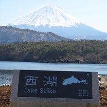 逆光になる時間でした