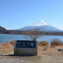 水辺近くに案内板が立つ