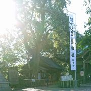 蒲郡竹島の神社