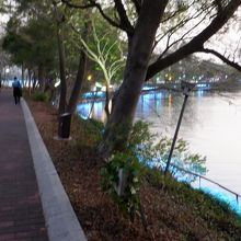 遊歩道が整備されています。