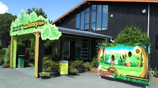 フカ ハニー ハイブ