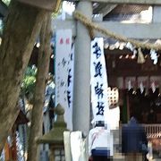 蒲郡竹島最初に参拝