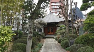 美しいお庭と本堂