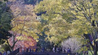 京都に活力をもたらしたそうです