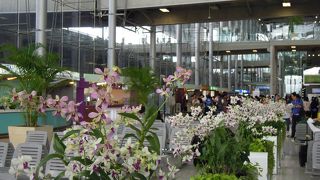 南国の空港らしく、ランを中心にした花の飾りが綺麗です。屋外の敷地も公園のように綺麗です。