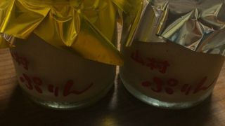 山村乳業さんのプリン