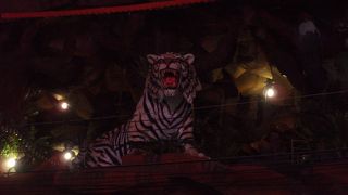 「TIGER　NIGHT　CLUB」がこの通りを象徴しています。