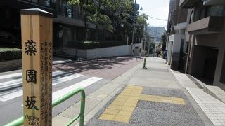 幕府の薬草栽培所がありました