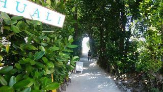 フクギの並木道を抜けると美しい海でした。