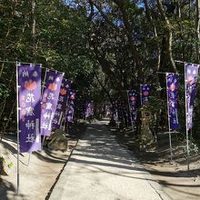 花の窟神社 