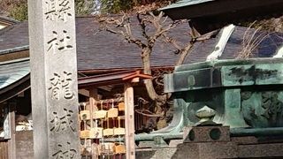 家康公ゆかりの神社