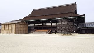 京都はここを行かなきゃ