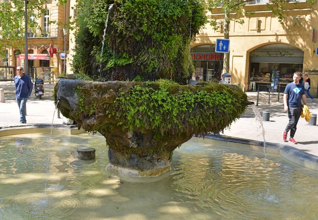 苔の噴水