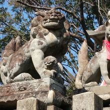 子供付きの珍しい狛犬さん