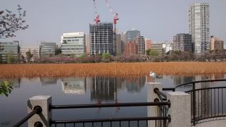 緑色のきれいな屋根が最高にきれい