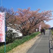 山の手桜まつり