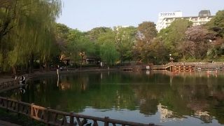 大好きなのは、見次公園から見上げるように眺めた景色で超おすすめ