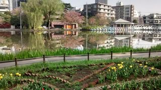 春が来たという感じでした。