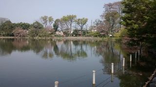 やっと春が始まったという感じで最高