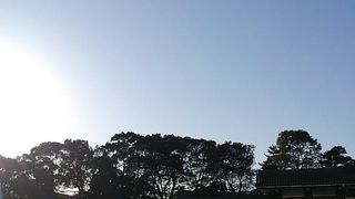 散策にちょうどよいです