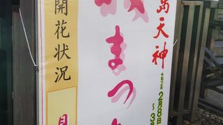 受験シーズンと重なるので人が多い