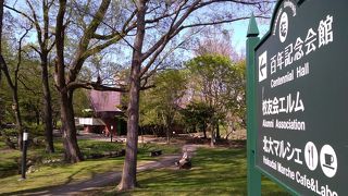 創立100年を記念