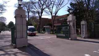 キャンパスは広くとても立派