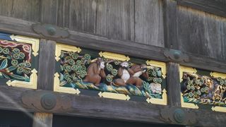 周辺の猿にも…