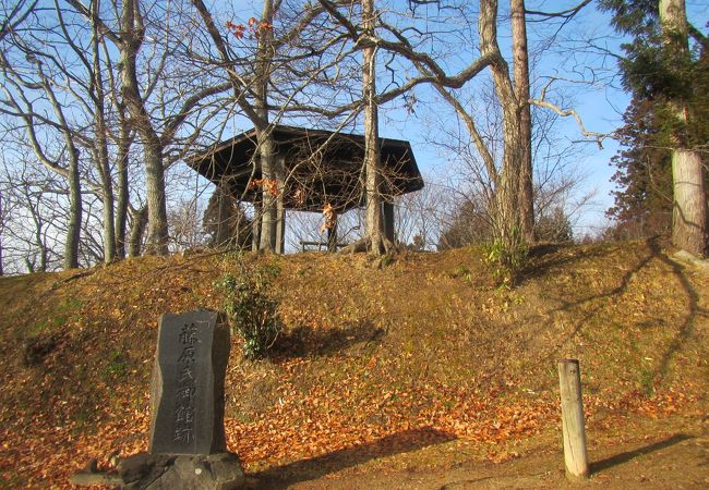 藤原氏御館跡