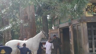 ちょうどうまがいた。