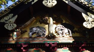 エキゾチックです。