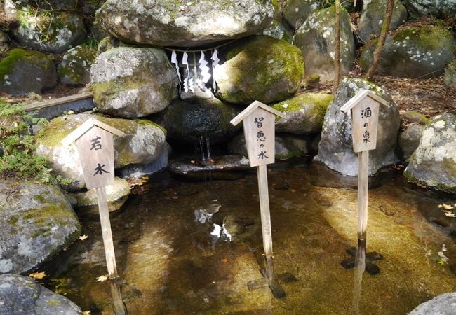 二荒山神社 二荒霊泉 クチコミ アクセス 営業時間 日光 フォートラベル 二荒山神社 二荒霊泉 クチコミ アクセス 営業時間 日光 フォートラベル