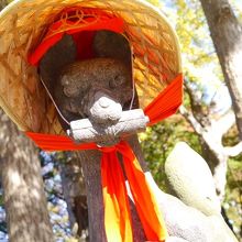 きつねがこっちをみています。