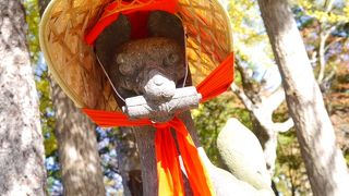 こじんまりしているものの…