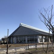 脇を流れる新川の河津桜がきれいです。