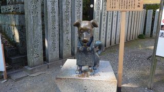 愛嬌のあるかわいい犬。