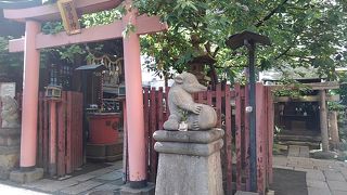 狛タヌキの神社