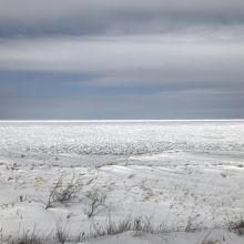 知床斜里が近づくと、流氷は完全に接岸していました。