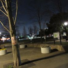 公園です