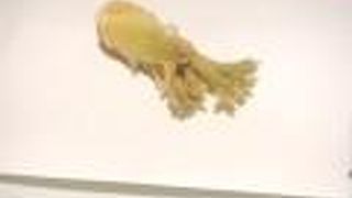 新しいパルコヤで