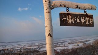 令和２年は雪が少ないシーズン