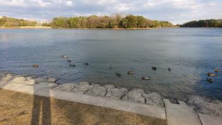 遊歩道があり散歩もgood